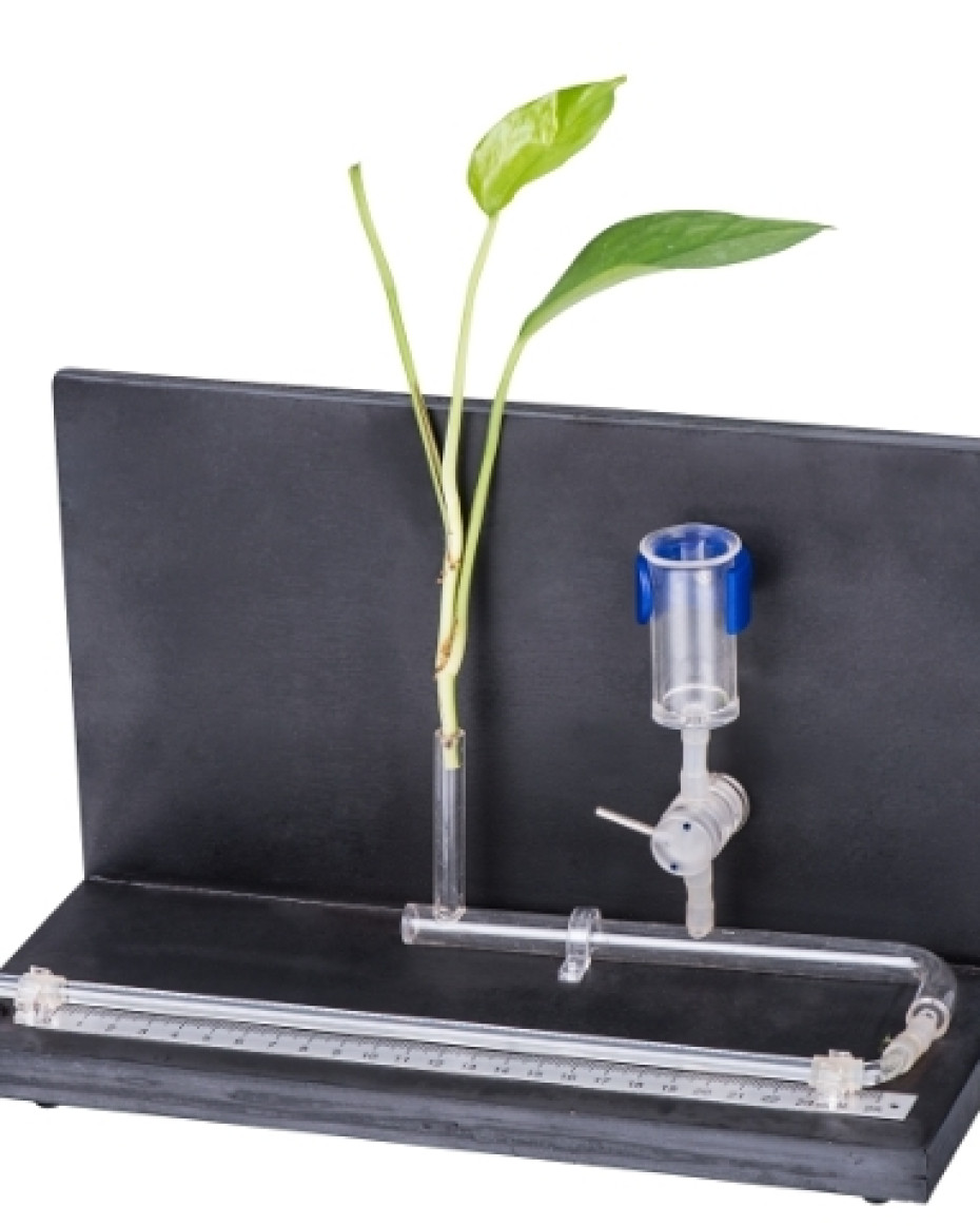 Potometer