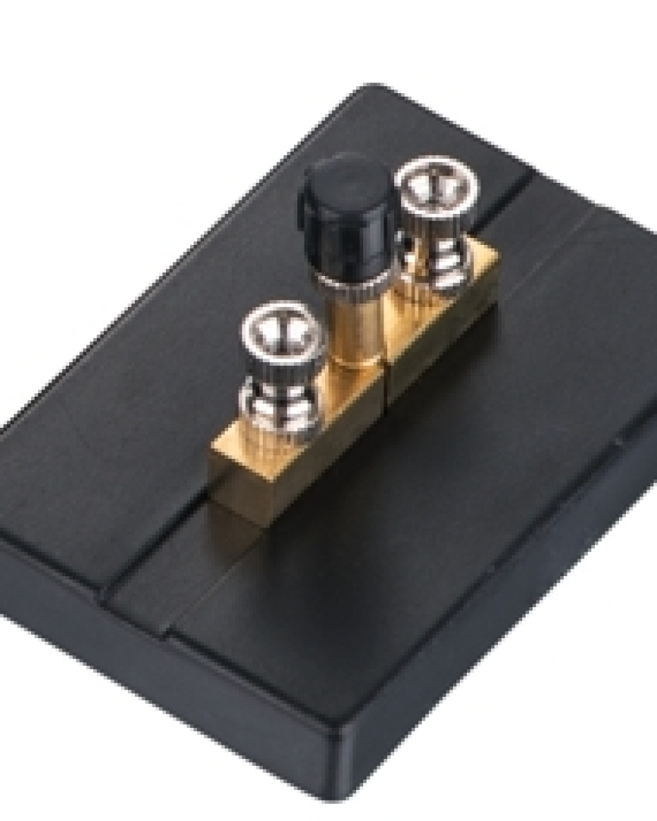 Plug key