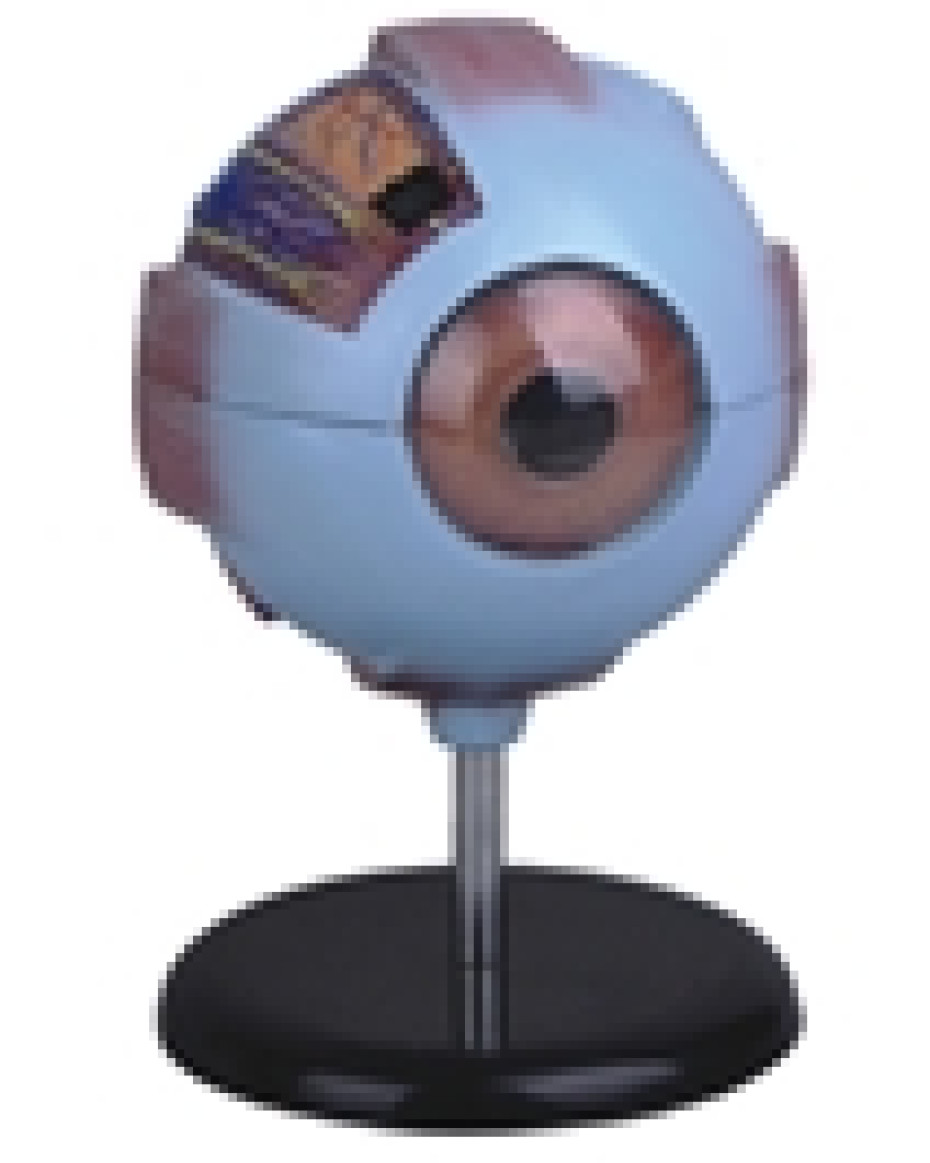 Eye Model